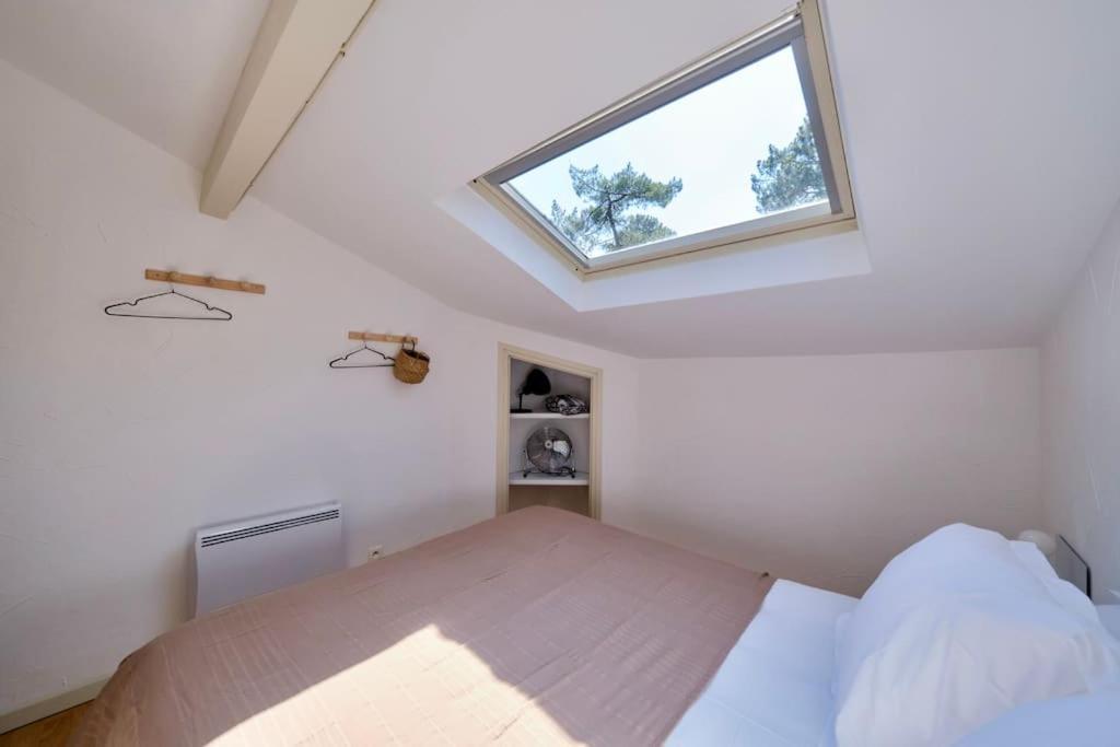 Nid De Line - Naou - Wifi-netflix Apartment